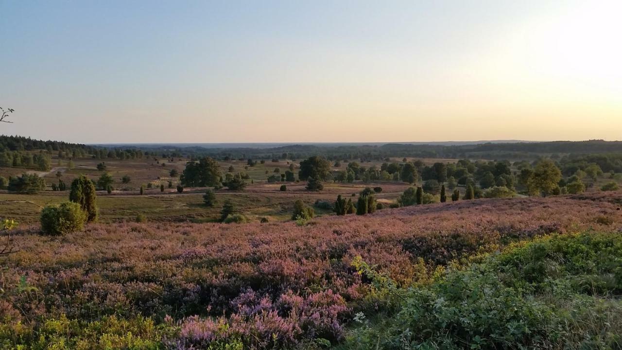 Ferienwohnung Parkblick Soltau Eksteriør billede